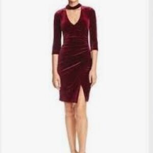BCBGMaxAzria Burgundy Velvet Long Sleeve Dress